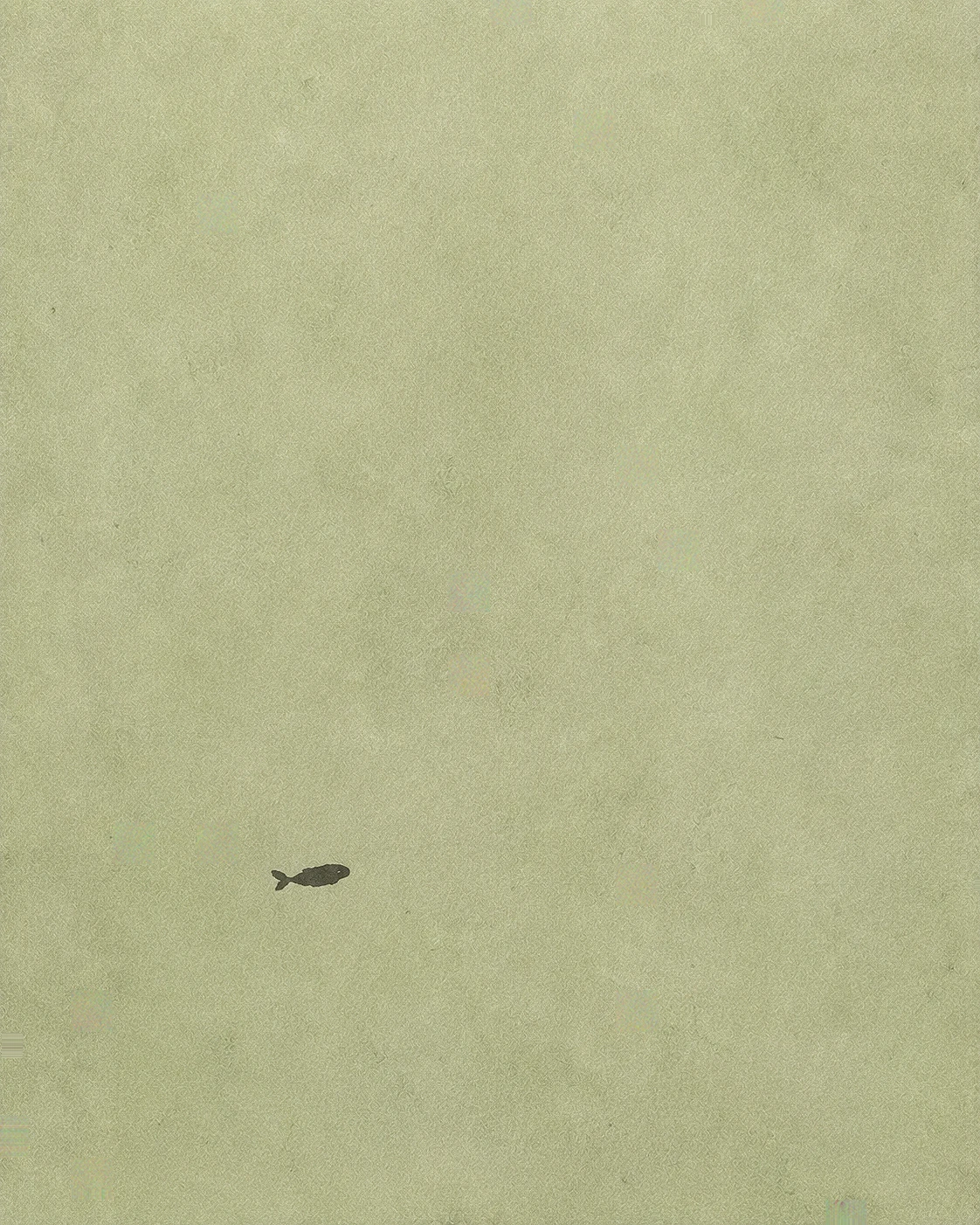 AIR-001 — Little Whale