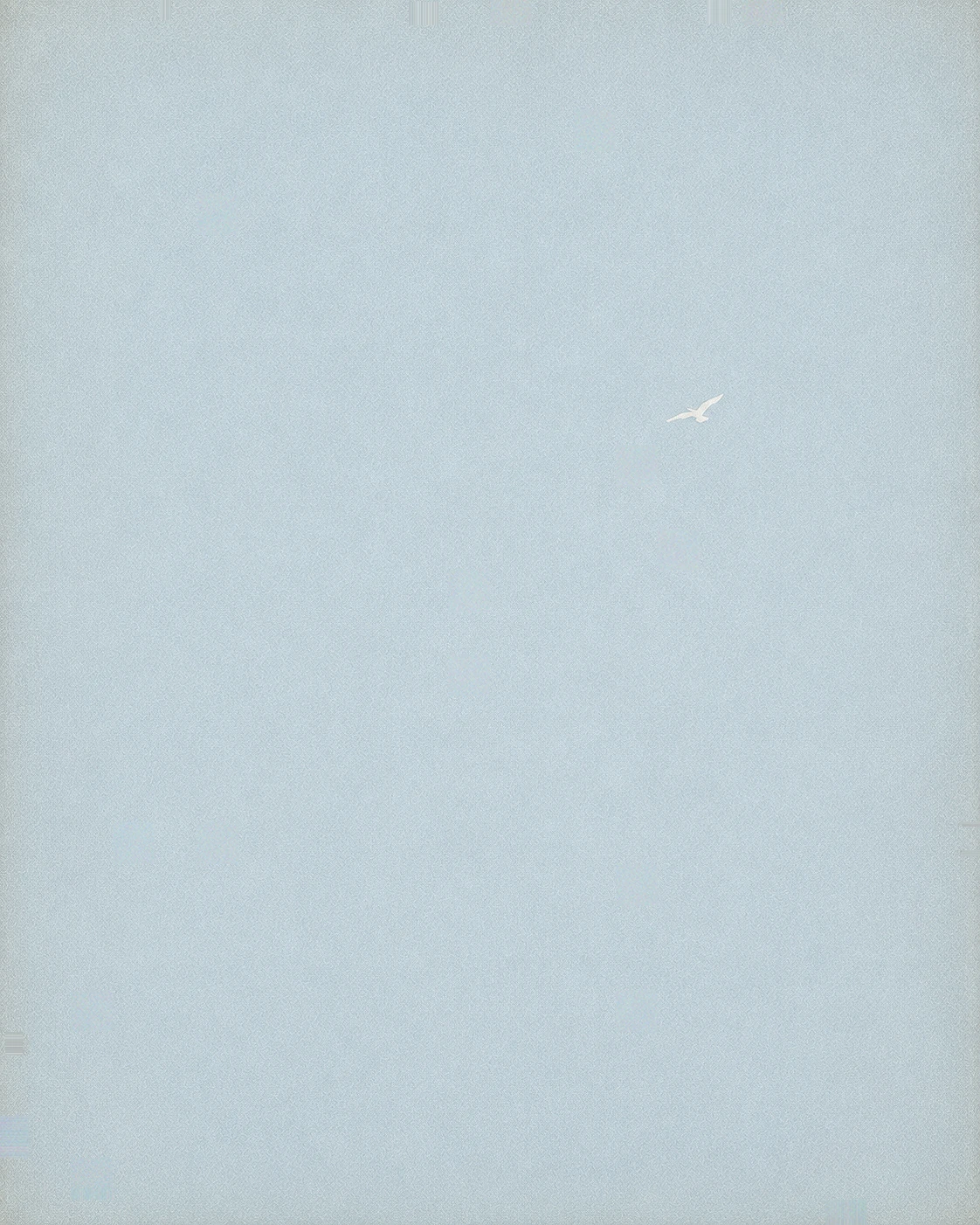 AIR-002 — White Bird