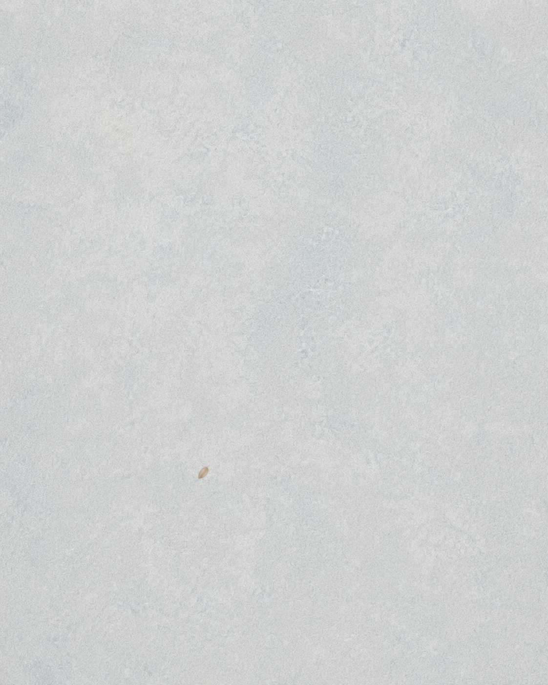 AIR-010 — Still Becoming